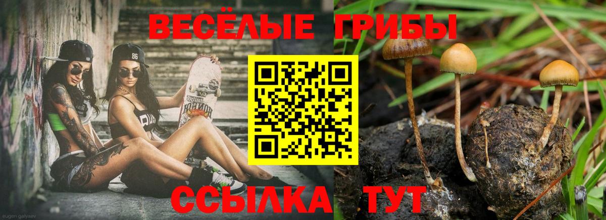 Галлюциногенные грибы ЛСД  Галлюциногенные грибы мицелий  Советск  Вход с VPN 